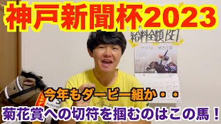 【神戸新聞杯2023予想】菊花賞への切符をかけて！最後の戦いが始まる！本命馬はこの馬！