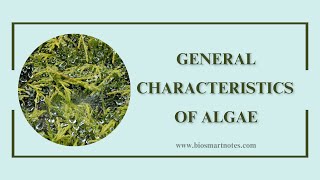 General Characteristics of Algae