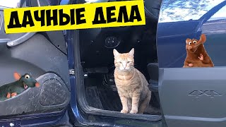 Уличная розетка. Запаска на прицеп МЗСА. Котик и бочки для полива