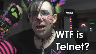 A Cat Explains Telnet