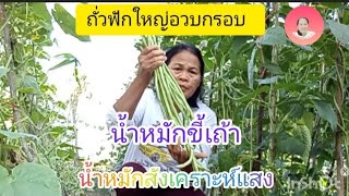 น้ำหมักสังเคราะห์แสง ช่วยให้ผักงามผลดกและกรอบอร่อย #เกษตรมือใหม่