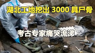 湖北工地挖出三千尸骨，專家鑒定后淚流滿面，遭遇村民圍觀 #鉴证史者 #古董 #開棺 #古墓 #考古發現