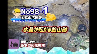 Abandoned Mine survival 水晶が転がる金鉱山跡　No98-1