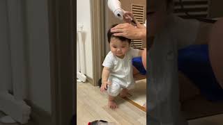 ドライヤー大好きな0歳児 嬉しくてソワソワ#赤ちゃん #baby #shorts