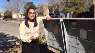 KOAT Now: Why thieves are targeting mailboxes