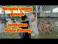 Menjala Udang Bawah Jambatan Ke-2 Pulau Pinang..Hasil Lumayan