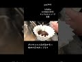 【コーヒー】is koffee（山形県山形市）サンタホセフィータ農園【yusai 19】【coffee】 shorts