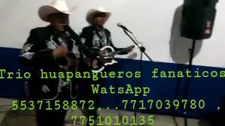 Trio huapangueros fanaticos..laurita Garza