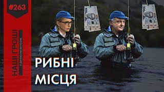 Як діють сітки підкупу виборців у Порошенка, Наші гроші