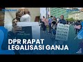 Ini Hasil Rapat DPR RI Soal Legalisasi Ganja Medis setelah Viral Aksi Ibu Butuh untuk Obat Anaknya