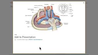 ClinicalKey Student - How to use the presentation tool