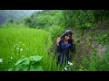 dharme brother's daughter is cutting grass in the farm field || rural Nepal @ruralnepall