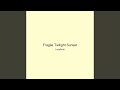 Fragile Twilight Sunset