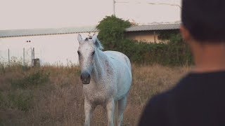 La boleca \u0026 Jero flow - VENENO BLANCO (Videoclip oficial)