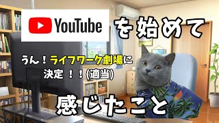 YouTubeを始めた経緯と動画投稿をして感じたこと【猫ミーム】