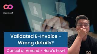 How can you amend or cancel your validated E Invoice