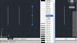 AutoCAD Tutorial Showing or Hide Lineweight