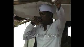 Bailgada Sharyat or Bullock cart race at Pune Festival  archival