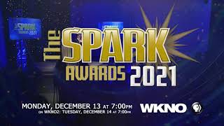 13 Honorees to be Celebrated for Community Engagement During The SPARK Awards 2021