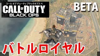 【バトルロイヤルBlackout】コール オブ デューティ ブラックオプス 4 オープンベータ【COD BO4】