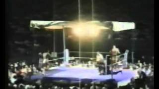 Danie Brits and Kalahari Boerboel VS Steve Casey and The Ranger - 1990 (1/2)