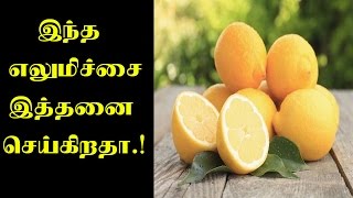 இந்த எலுமிச்சை இத்தனை  செய்கிறதா ..!