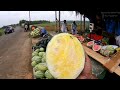 variety types of watermelon in malappuram കുറ്റൂർ പാടം