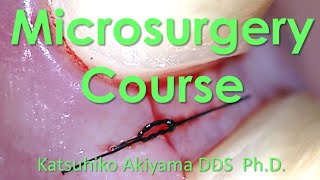 【Micro Dentistry】【periodontal disease treatment】The  Microsurgery Course