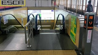 JR新潟駅 新幹線 13・14番線ホーム エスカレーター 下り 三菱  Niigata station Escalator Mitsubishi