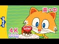 [4K] 祝你生日快乐！(Happy Birthday!) | Sing-Alongs | English to Chinese Songs | Songs for Kids | Little Fox