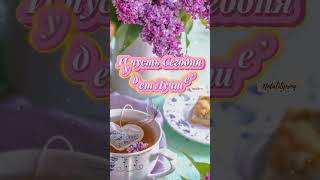 🌷Счастливой Весны 2 мая Солнечных Дней! И Пусть Сегодня Будет Лучше чем Вчера! С Добрым Утром