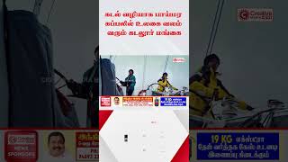 கடல் வழியாக பாய்மர கப்பலில் உலகை வலம் வரும் கடலுார் மங்கை  #breakingnews #indiannavalacademy