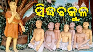 Siddha Bakul - The Tree Grow Up From A Ivory | ସିଦ୍ଧ ବକୁଳ - ଦାନ୍ତକାଠିରୁ ସୃଷ୍ଟ ଗଛ