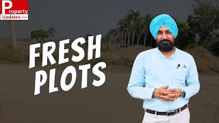 Fresh Plots in 32 Acre Project on Zirakpur Patiala Road Greater Mohali Good For Investment