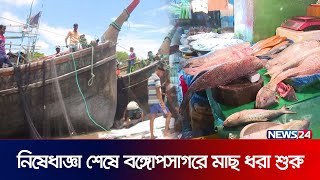 নিষেধাজ্ঞা শেষে বঙ্গোপসাগরে মাছ ধরা শুরু | LIVE | KUAKATA | BARGUNA | CTG | News24