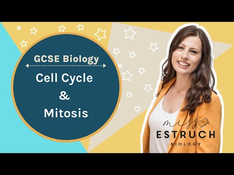 What happens when cytokinesis goes wrong?