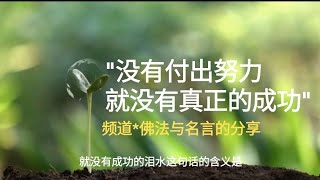 没有付出努力就没有真正的成功 | 骄傲 | 为成功而付出 | 努力和汗水 | 不会明白成功的辛酸和价值 | 喜悦 | 更多视频在频道#佛法与名言的分享