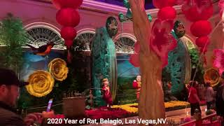Outcall Las Vegas Massage