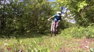 Little Spring Edit