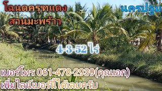 ❌ปิดการขาย❌   Ep.132 บ้านสวนมะพร้าวโฉนดครุฑแดง 4-3-60 ไร่ ขายยกแปลง 4ล้าน 8แสนบาท จ.นครปฐม