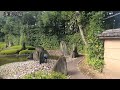 my favorite kyoto matsuo taisha shrine【京都おすすめ】松尾大社