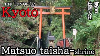 [my favorite KYOTO] Matsuo taisha-shrine【京都おすすめ】松尾大社