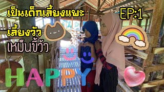 เด็กเลี้ยงแพะ เลี้ยงวัว | ตอนที่ 1