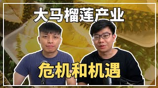 各国都种榴莲！大马榴莲还有优势吗？【开放的会员影片EP2】｜9后商谈 @Just9Cents