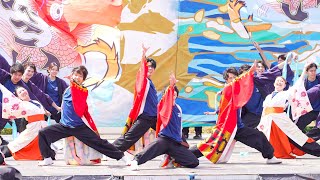 [4K] 福井大学よっしゃこい　2023年度演舞『漣〜さざなみ〜』初披露　犬山踊芸祭 2023 日曜日 (中央)