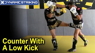 Counter With A Low Kick by Karim Ghajji