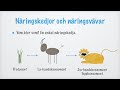 Näringskedjor och näringsvävar