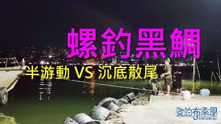 誰說用金寶螺釣黑鯛只能用浮標(半游動)?! 沉底散尾也可以釣的\