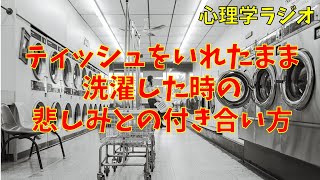 ティッシュをいれたまま洗濯した時の悲しみとの付き合い方【心理学ラジオ】