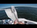 Fortress FX-7 and Boat Beaching Basics!